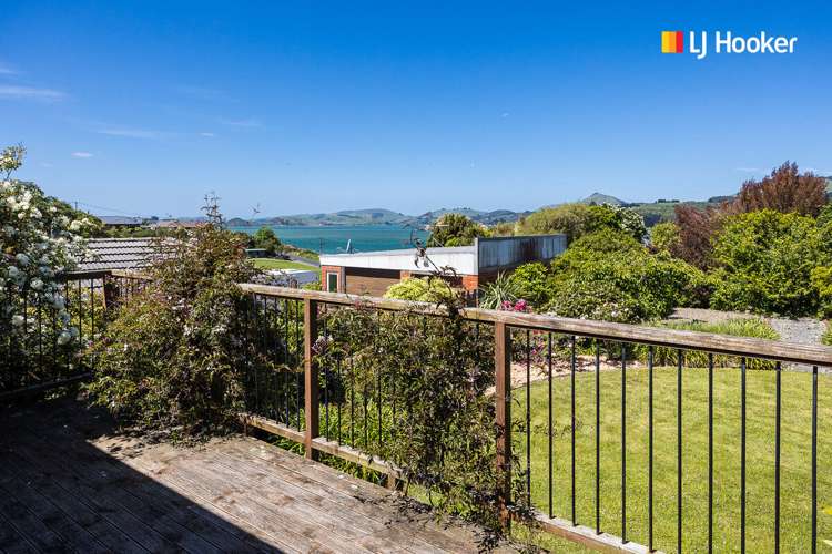 22 Takahe Terrace Saint Leonards_13