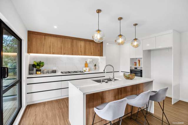 Brand New Swish with an Inter-Level Lift