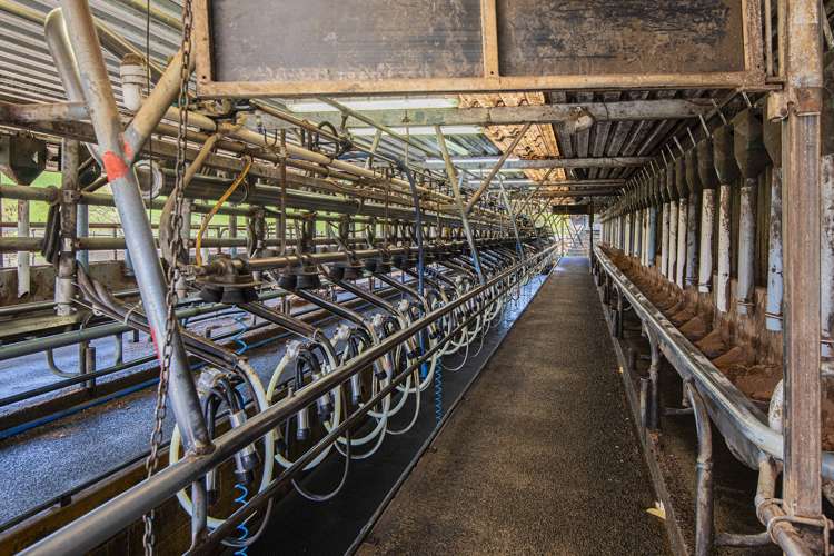 24 Foster Road Dargaville Surrounds_7