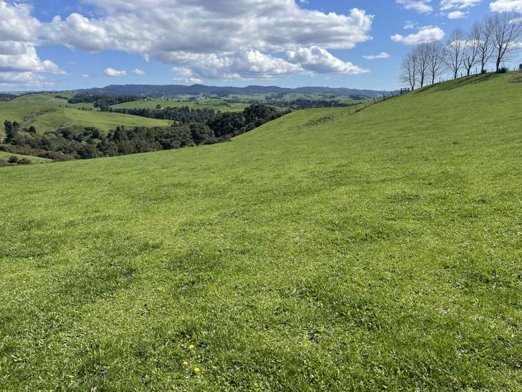 481 Honikiwi Road RD3 Otorohanga_13