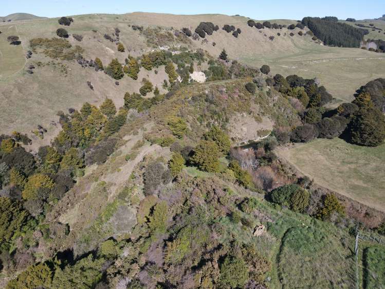 115 D Ruakokoputuna Road, Ruakokoputuna Martinborough_20