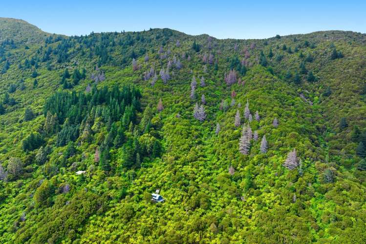 2149 North West Bay Marlborough Sounds_20