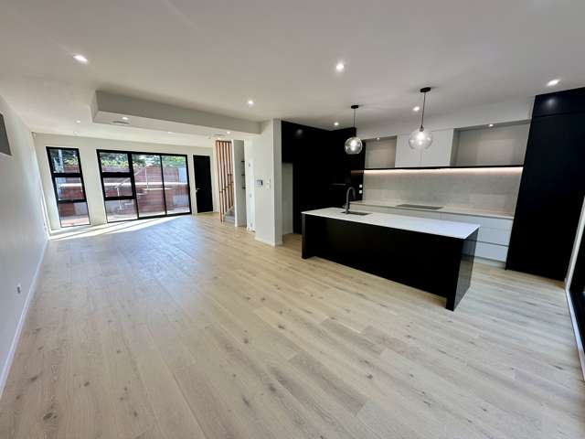 30 Burch Street Mount Albert_1