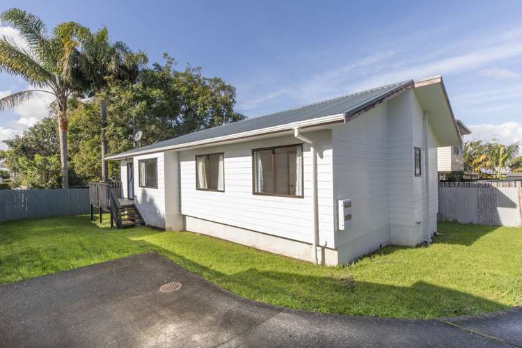 55a Alfred Street Onehunga_0