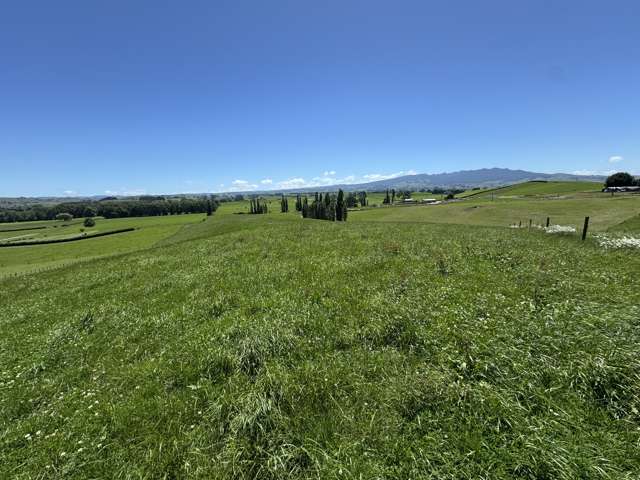 Lot 4 Pokuru Road Rd 3 Te Awamutu_1