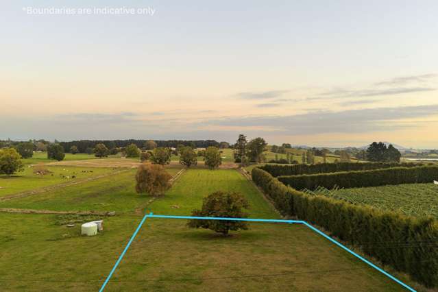 55 Forkert Road Ohaupo_1