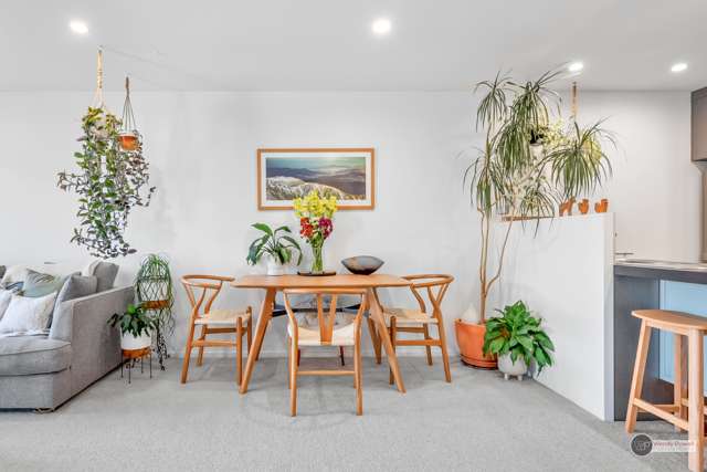 9/208 Jackson Street Petone_3