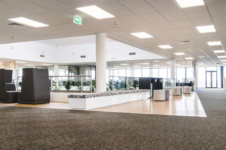 17 Hargreaves Street Freemans Bay_28