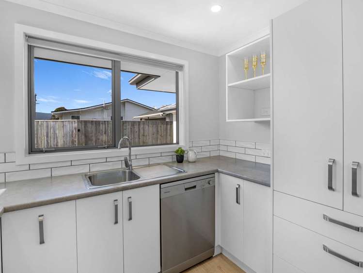 137a Winchester Street Levin_5