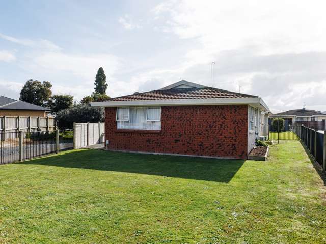 48A Livingstone Avenue Nawton_2