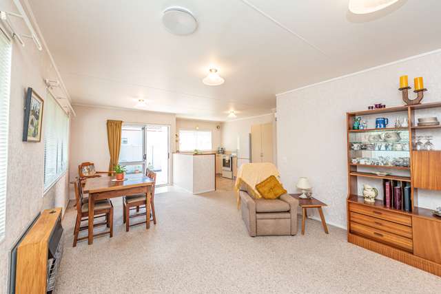 29b Marshall Avenue Wanganui East_2