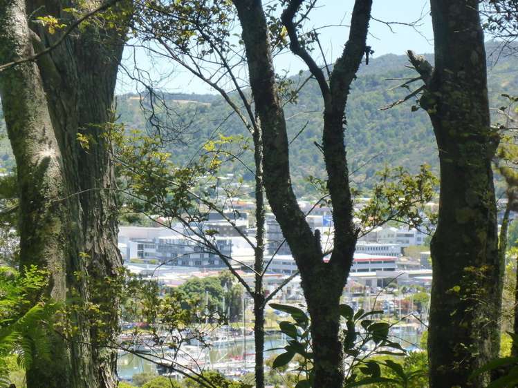 11 Punga Grove Avenue Riverside_1