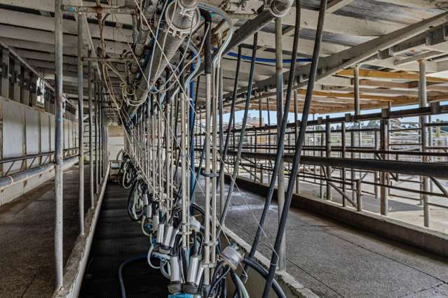 379B Powdrell Road Awakeri_1