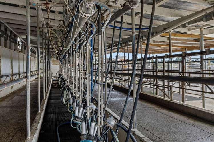 379B Powdrell Road Awakeri_1