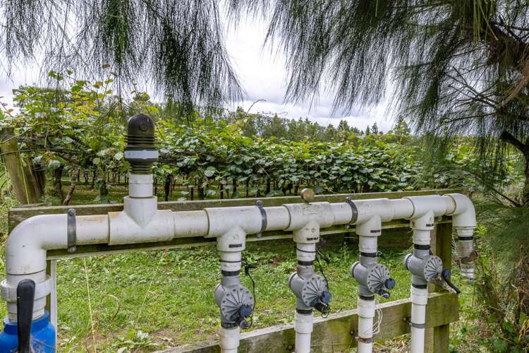 19E Amber Lane Karapiro_12