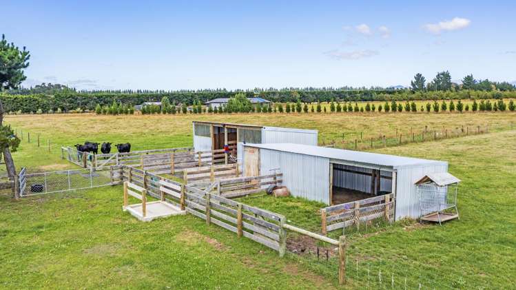 507 Browns Rock Road Burnt Hill_31