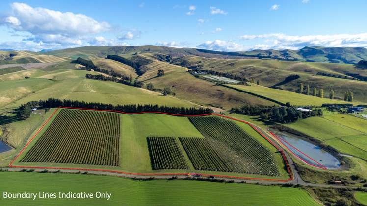 337 Mackenzies Road Waipara_11
