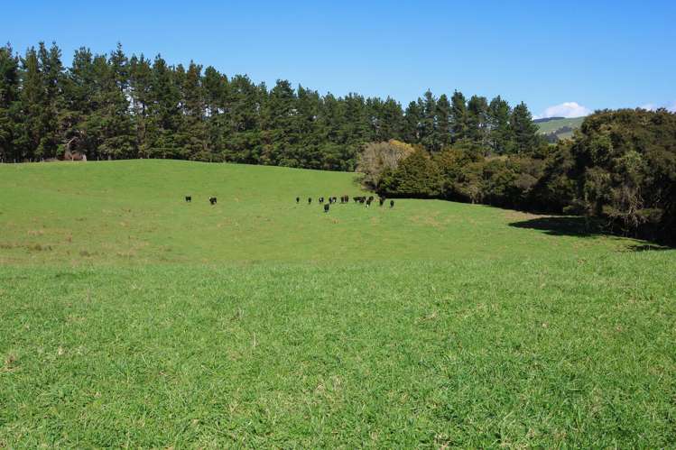 98 Millstream Road Dannevirke_6