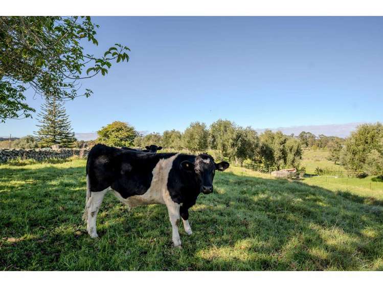 946 Kerikeri Inlet Road Kerikeri_12