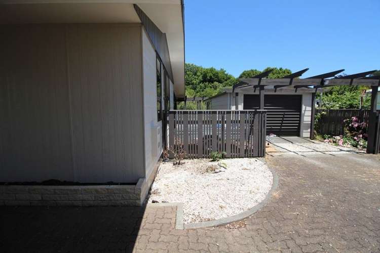 15 Wilson Street Bulls_47