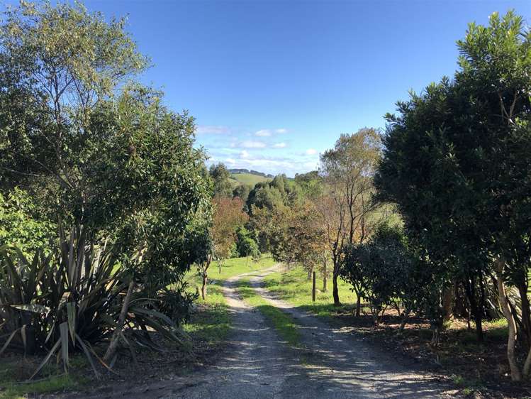 2990 Kaipara Coast Highway Glorit_1