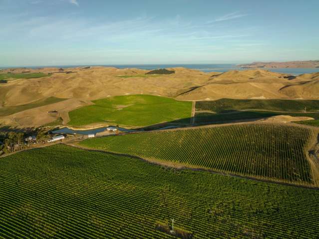 217 Caseys Road Seddon_2