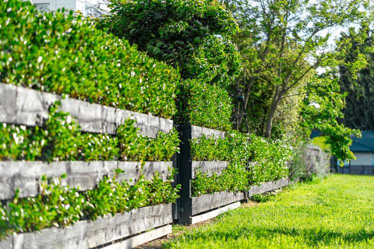 2 Atatu Lane Wigram_32