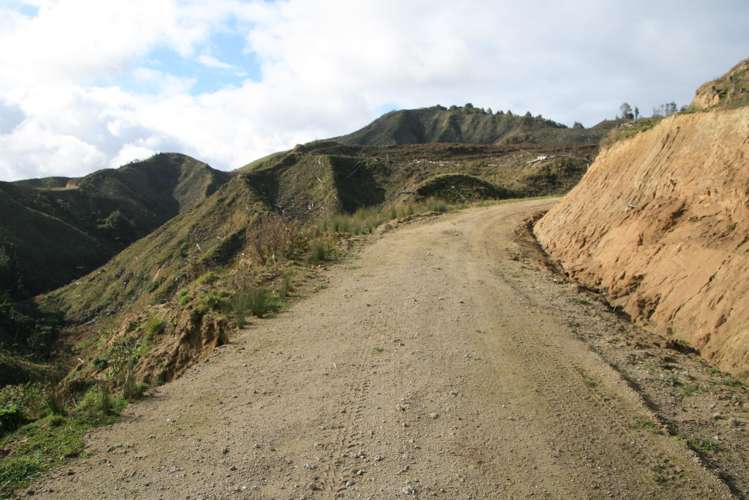 0n Makakaho Road Ngamatapouri_7