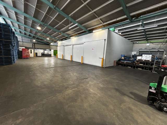 9 Midland Street South Dunedin_4