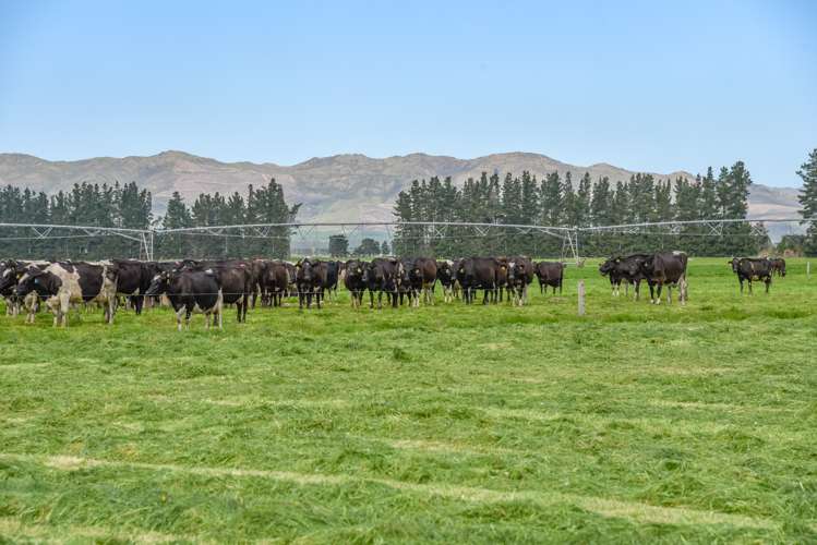 106 Rotherham Road South Culverden_7