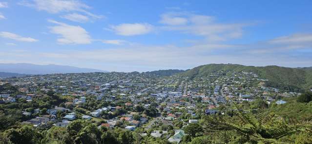 - Alanbrooke Rise Karori_2