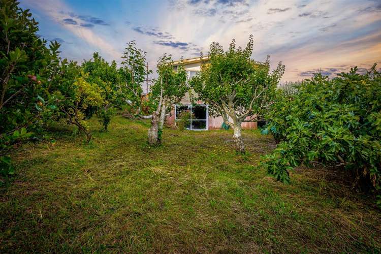 49 Royal Road Massey_13