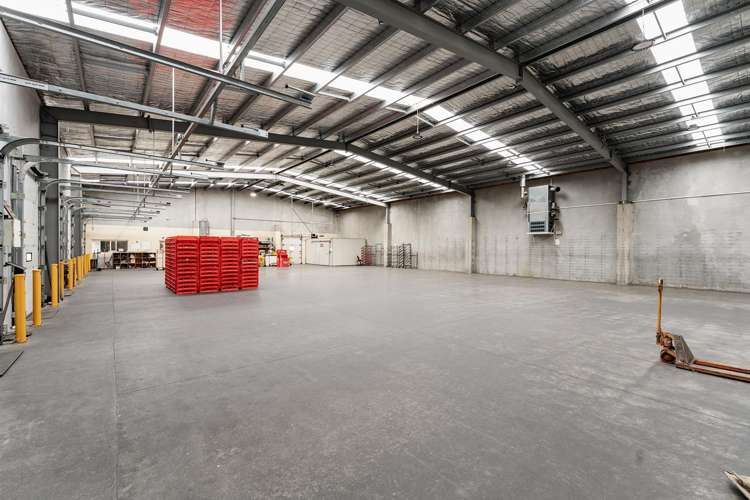 7 Otaki Street South Dunedin_15