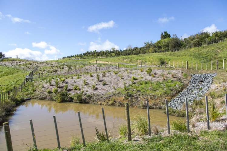 197 Wishart Road Helensville_12