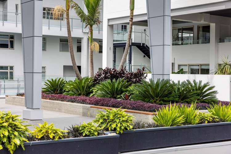 21/30y York Street Parnell_16