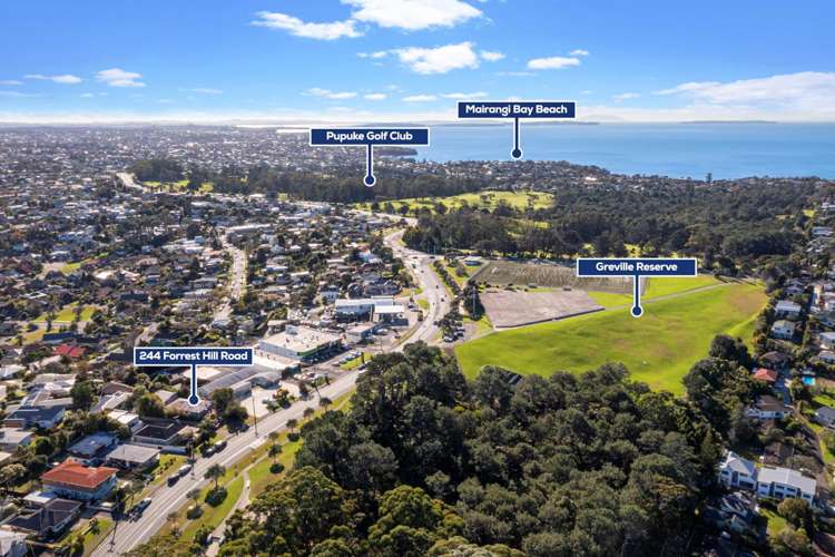 244 Forrest Hill Road Forrest Hill_5