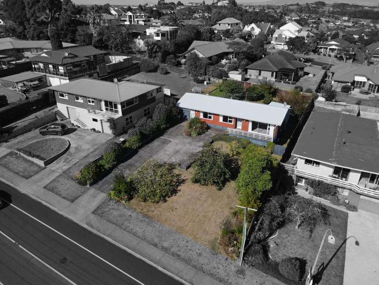 151 Newcastle Road Nawton_0