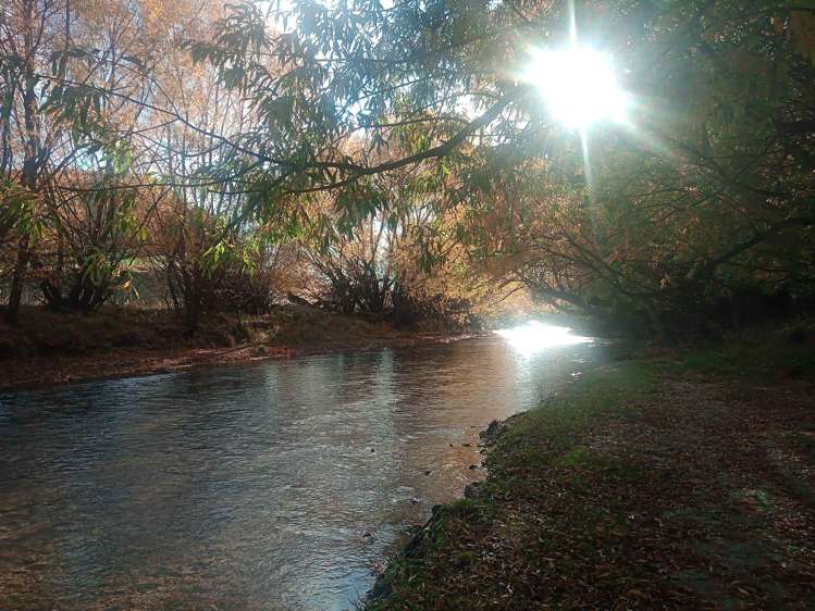 633 Ardgour Road Tarras_22