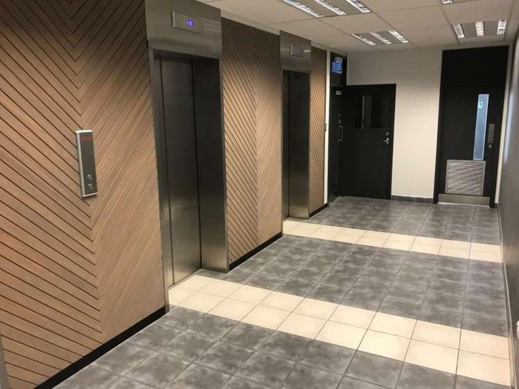 45 O'Rorke Road Penrose_3