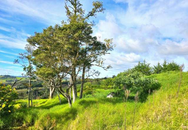 Lot lot 2 Koutu Loop Road Opononi_1