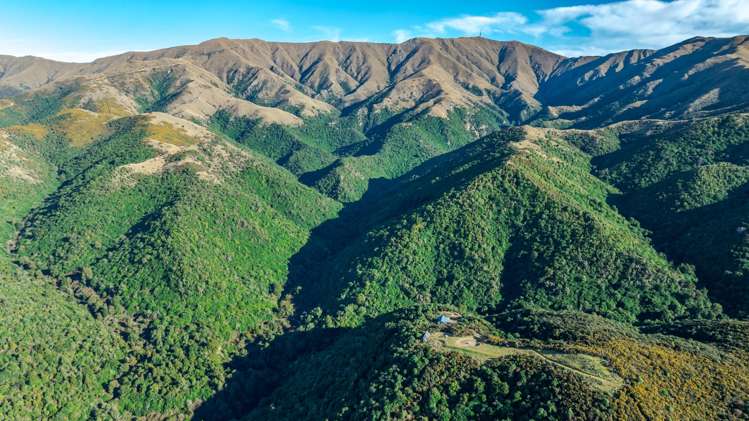 439 Engelbrechts Road Hunter_45