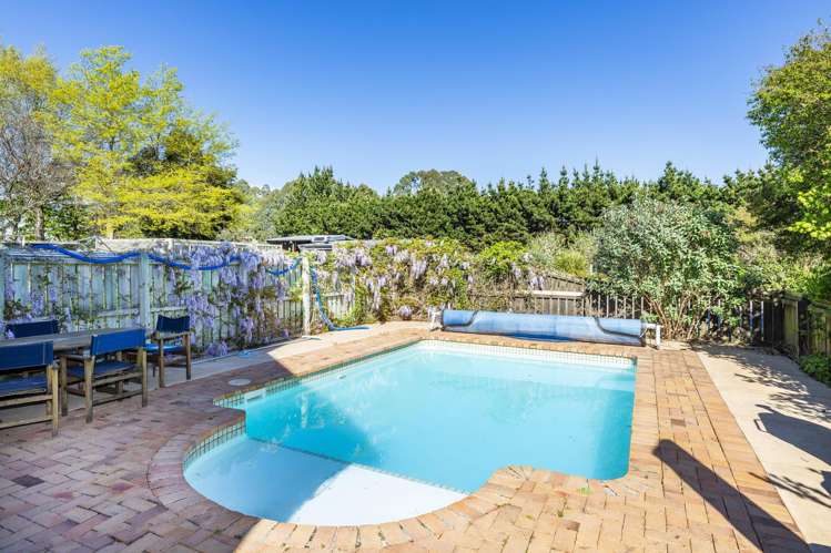 313 Plaskett Road Fernside_10