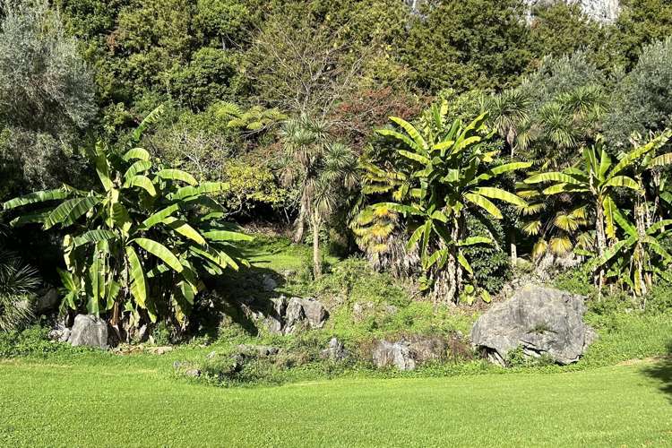407 Hamama Road Takaka_18