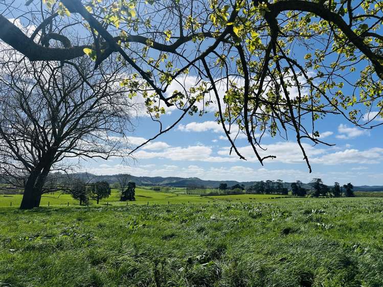 78B Falls Road Te Kauwhata_17