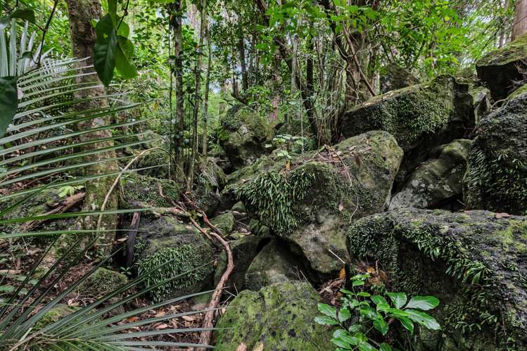 79 Grahamtown Road Onerahi_16