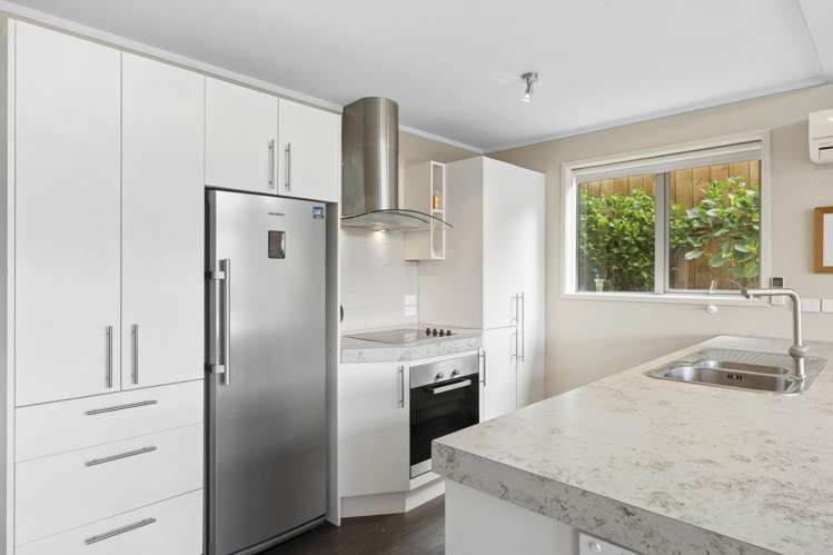 88 Cannington Road Maori Hill_5