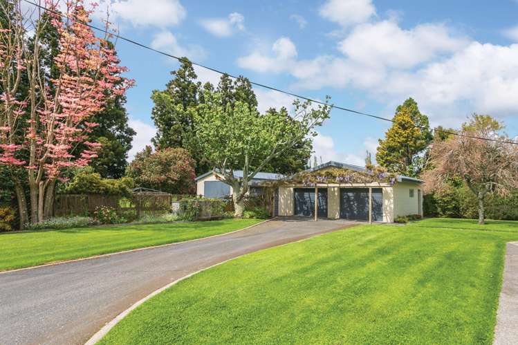 696a Tower Road Matamata_18