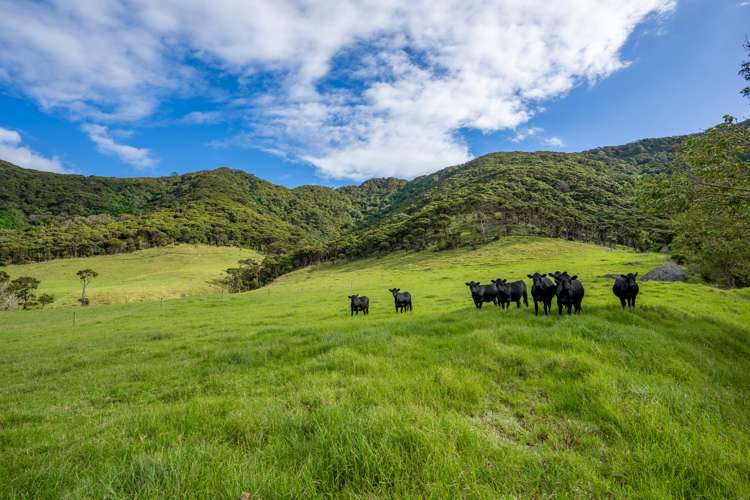 196b Ocean Beach Road Whangarei Heads_10