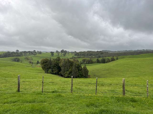 870 Mangati Road Puketotara_1