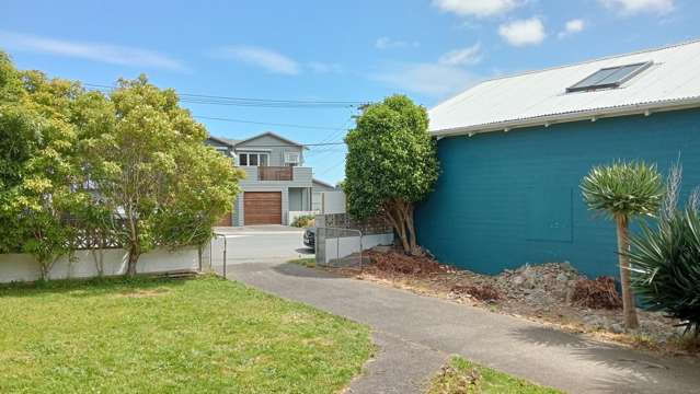 51 Camperdown Road Miramar_3